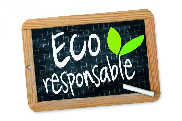 Green4youth: soutien aux PME et startups éco-responsables! - Managers