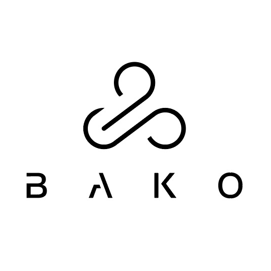 Bako Motors